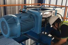 179121469_294160765694813_4547151336238544365_n